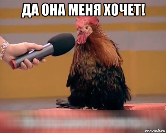 да она меня хочет! 