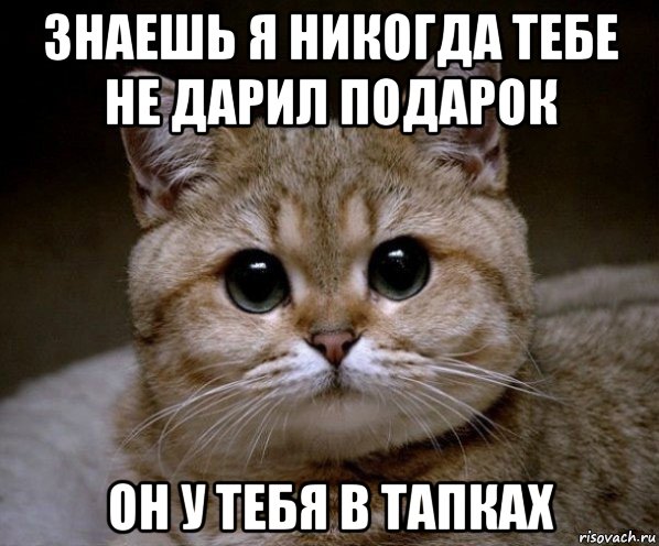 знаешь я никогда тебе не дарил подарок он у тебя в тапках, Мем Пидрила Ебаная