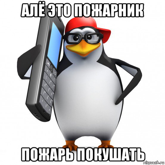 алё это пожарник пожарь покушать, Мем   Пингвин звонит