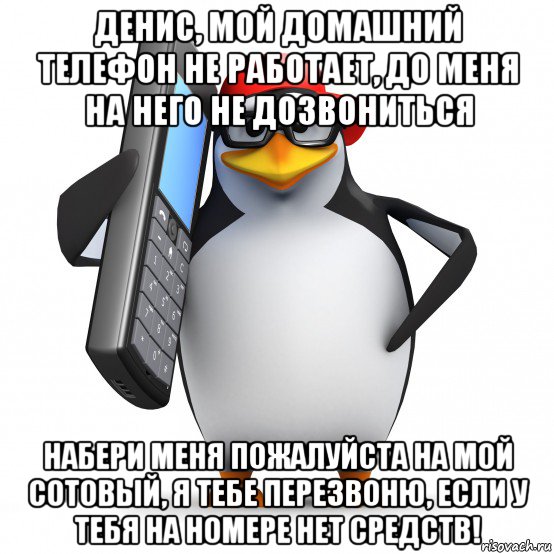 денис, мой домашний телефон не работает, до меня на него не дозвониться набери меня пожалуйста на мой сотовый, я тебе перезвоню, если у тебя на номере нет средств!, Мем   Пингвин звонит