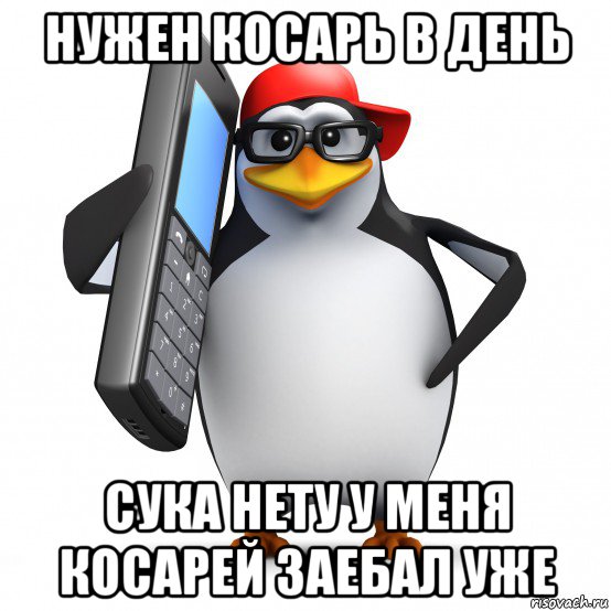 нужен косарь в день сука нету у меня косарей заебал уже, Мем   Пингвин звонит