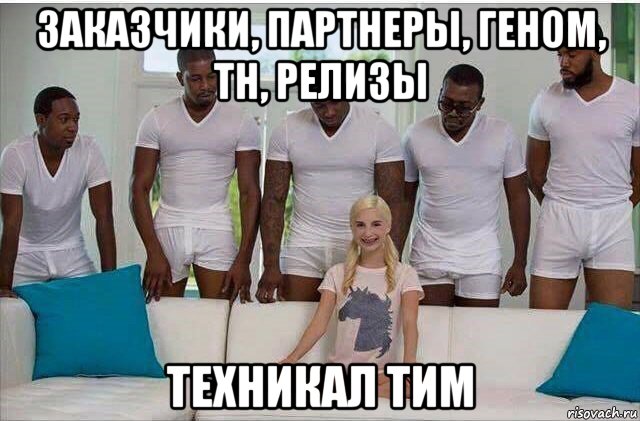 заказчики, партнеры, геном, тн, релизы техникал тим