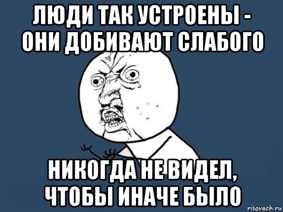 люди так устроены - они добивают слабого никогда не видел, чтобы иначе было, Мем  почему мем