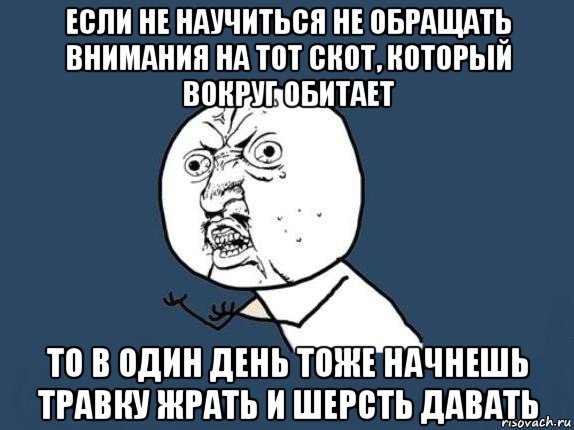 если не научиться не обращать внимания на тот скот, который вокруг обитает то в один день тоже начнешь травку жрать и шерсть давать, Мем  почему мем