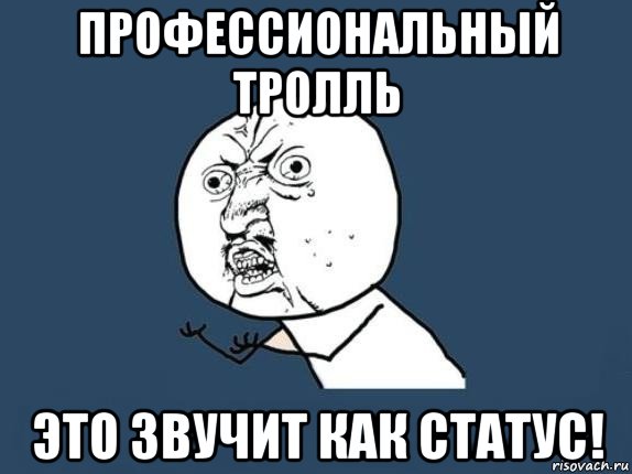 профессиональный тролль это звучит как статус!, Мем  почему мем