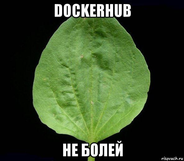 dockerhub не болей, Мем Подорожник