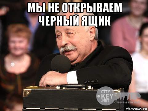 мы не открываем черный ящик 