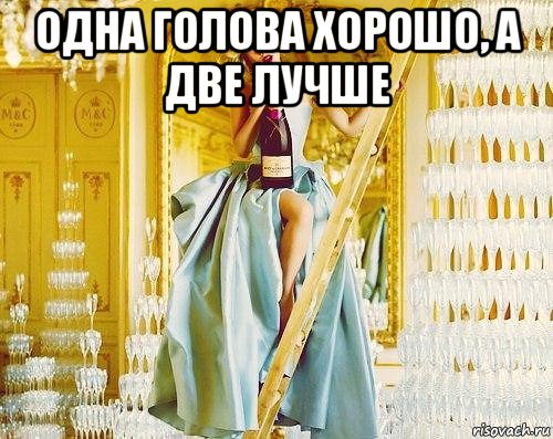 одна голова хорошо, а две лучше , Мем ПОСЛОВИЦА