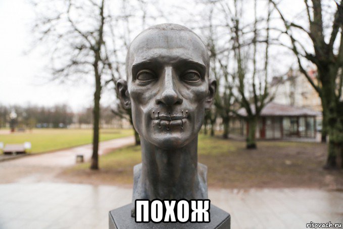  похож