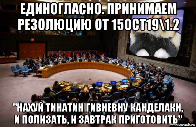единогласно. принимаем резолюцию от 15oct19\1.2 "нахуй тинатин гивиевну канделаки, и полизать, и завтрак приготовить", Мем Резолюция