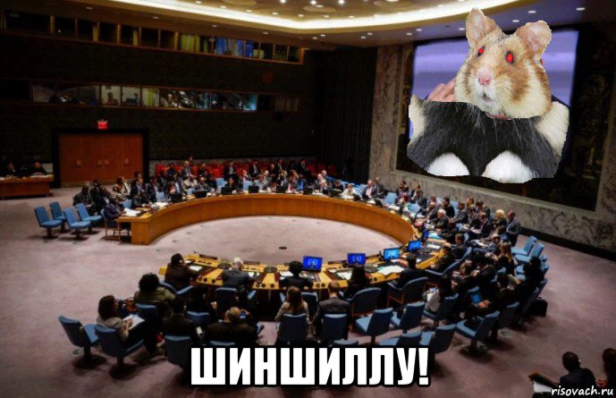  шиншиллу!, Мем Резолюция