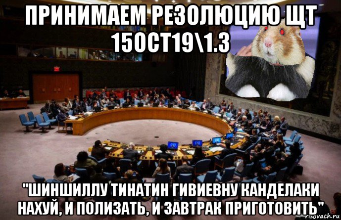 принимаем резолюцию щт 15oct19\1.3 "шиншиллу тинатин гивиевну канделаки нахуй, и полизать, и завтрак приготовить", Мем Резолюция