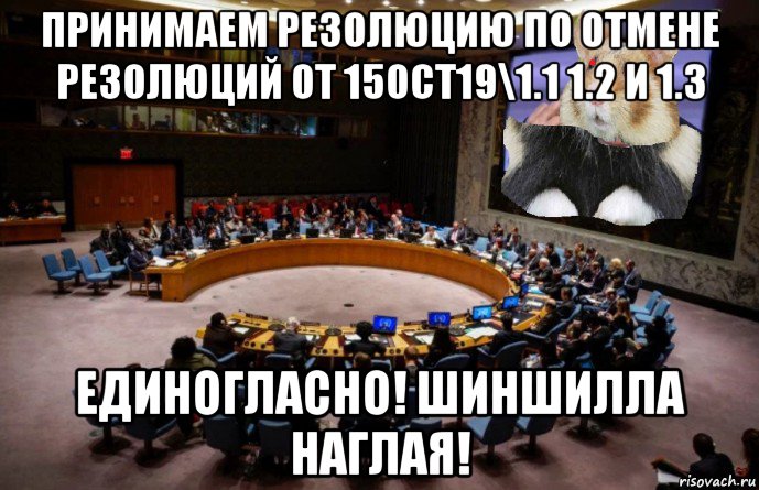 принимаем резолюцию по отмене резолюций от 15oct19\1.1 1.2 и 1.3 единогласно! шиншилла наглая!, Мем Резолюция