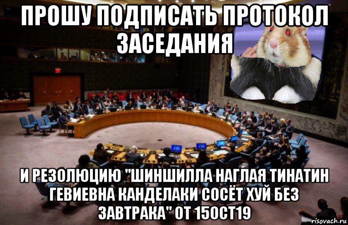 прошу подписать протокол заседания и резолюцию "шиншилла наглая тинатин гевиевна канделаки сосёт хуй без завтрака" от 15oct19, Мем Резолюция