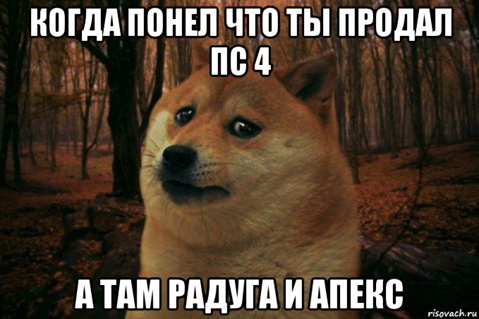 когда понел что ты продал пс 4 а там радуга и апекс, Мем SAD DOGE