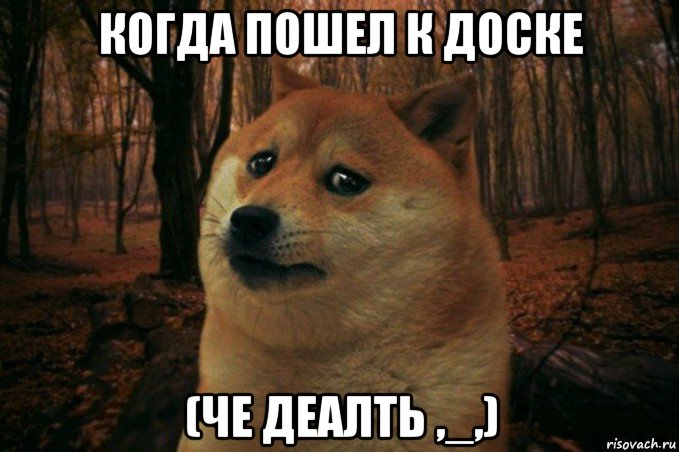 когда пошел к доске (че деалть ,_,), Мем SAD DOGE