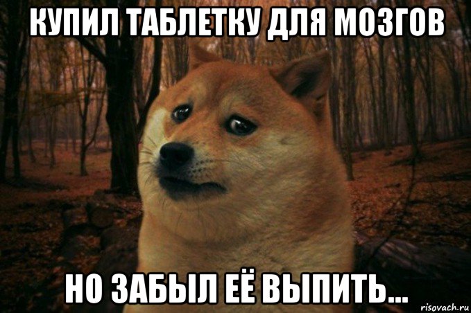 купил таблетку для мозгов но забыл её выпить..., Мем SAD DOGE