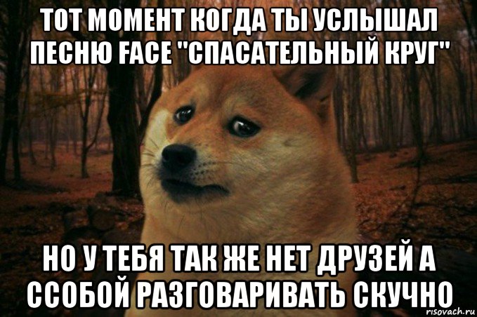 тот момент когда ты услышал песню face "спасательный круг" но у тебя так же нет друзей а ссобой разговаривать скучно, Мем SAD DOGE