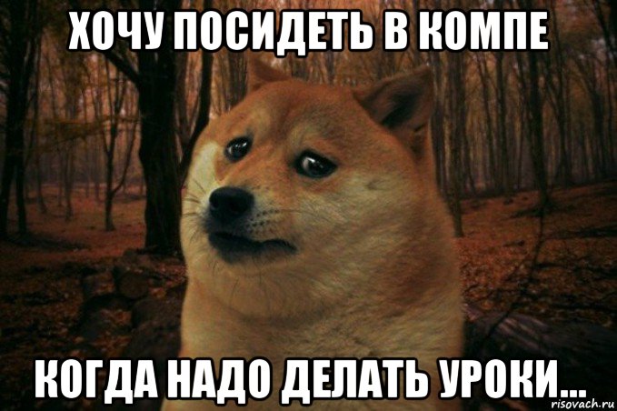 хочу посидеть в компе когда надо делать уроки..., Мем SAD DOGE