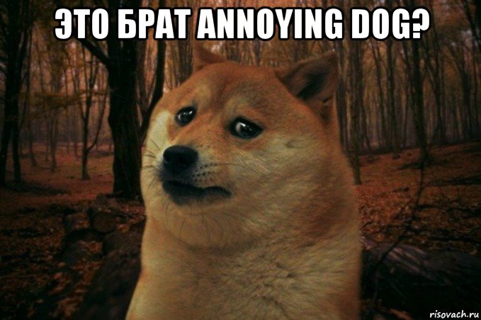 это брат annoying dog? 