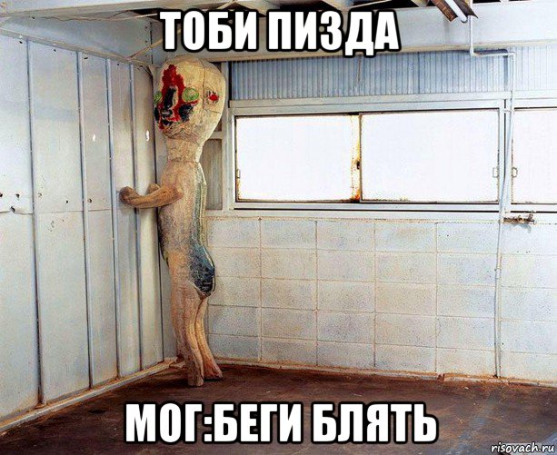 тоби пизда мог:беги блять