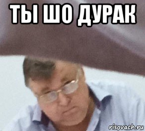 ты шо дурак , Мем Шульпин