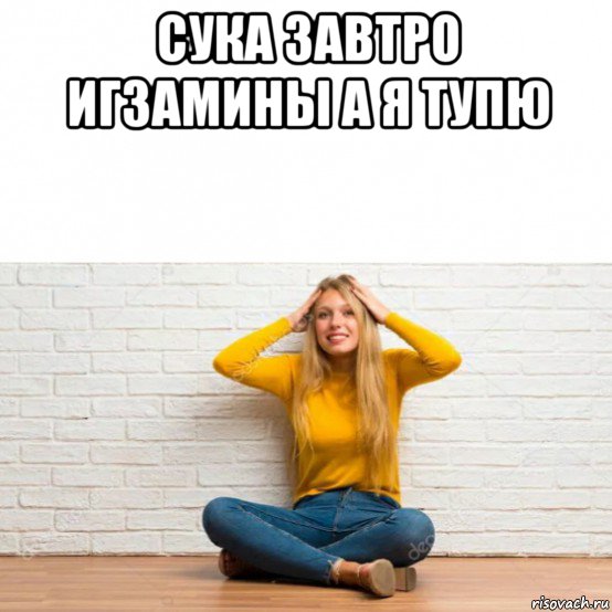 сука завтро игзамины а я тупю , Мем Светка дура