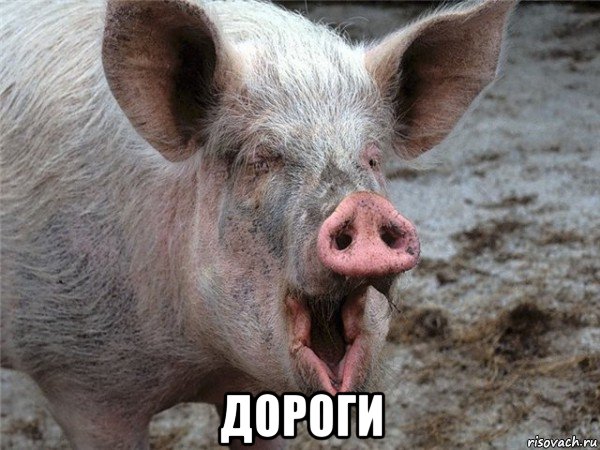  дороги