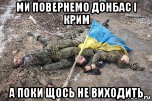 ми повернемо донбас і крим а поки щось не виходить
