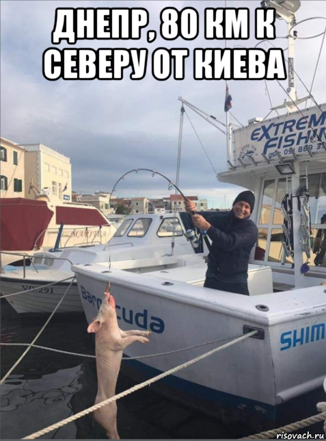днепр, 80 км к северу от киева , Мем Свинья