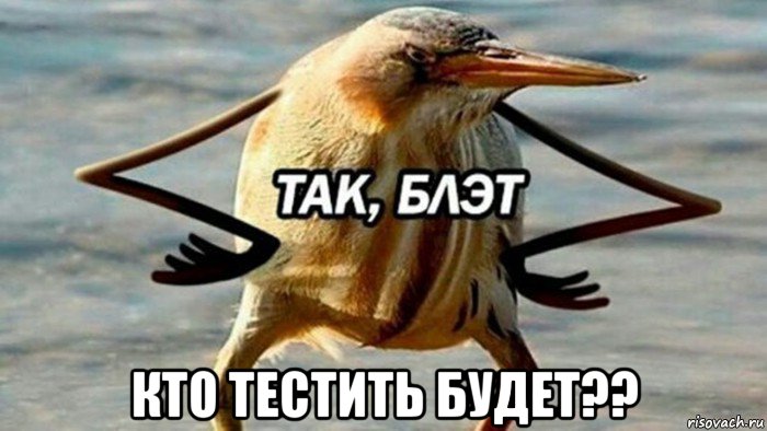  кто тестить будет??, Мем  Так блэт