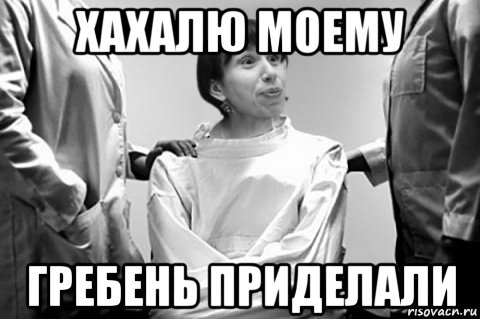 хахалю моему гребень приделали, Мем Тетяна Чорновіл