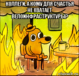 коллеги, а кому для счастья не хватает велоинфраструктуры? 