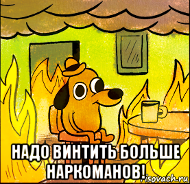  надо винтить больше наркоманов!
