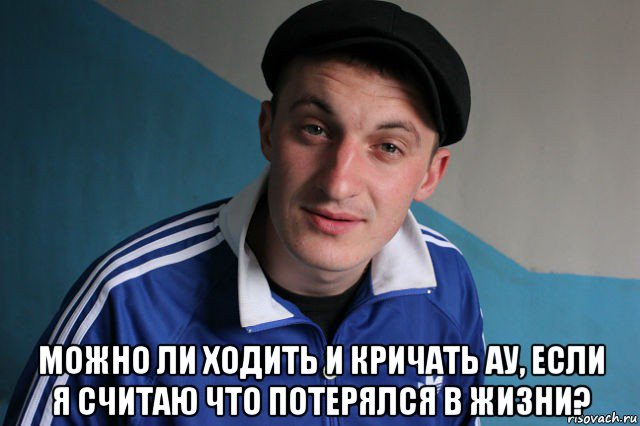  можно ли ходить и кричать ау, если я считаю что потерялся в жизни?, Мем Типичный гопник