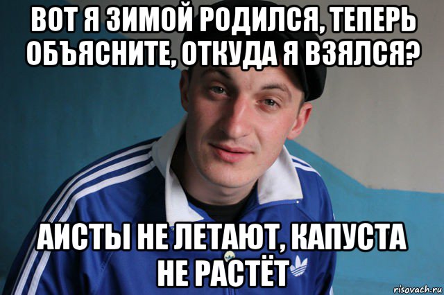 вот я зимой родился, теперь объясните, откуда я взялся? аисты не летают, капуста не растёт, Мем Типичный гопник