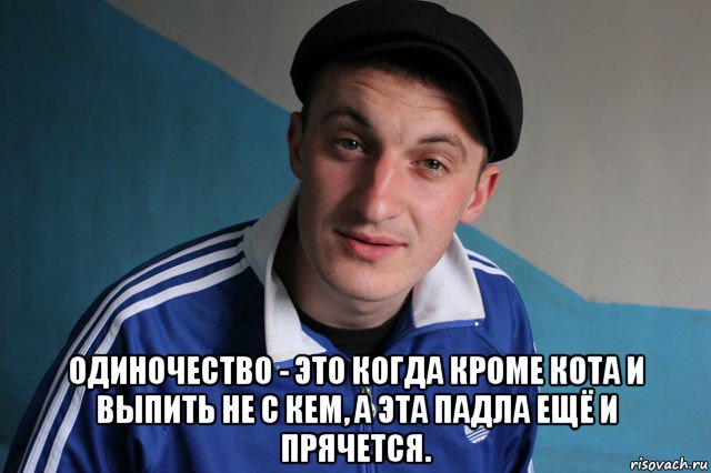  одиночество - это когда кроме кота и выпить не с кем, а эта падла ещё и прячется.