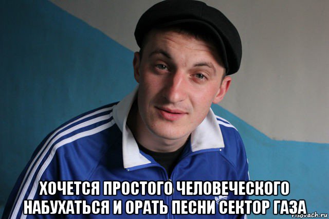  хочется простого человеческого набухаться и орать песни сектор газа, Мем Типичный гопник