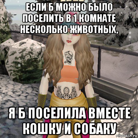 если б можно было поселить в 1 комнате несколько животных, я б поселила вместе кошку и собаку