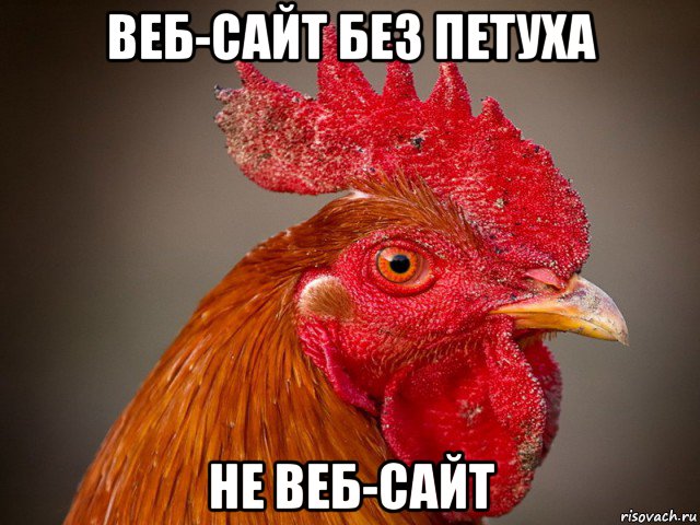 веб-сайт без петуха не веб-сайт, Мем Типичный петух-совок