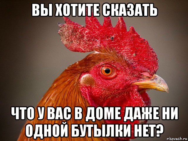 вы хотите сказать что у вас в доме даже ни одной бутылки нет?, Мем Типичный петух-совок