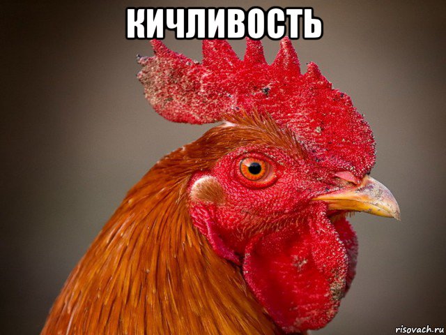кичливость , Мем Типичный петух-совок