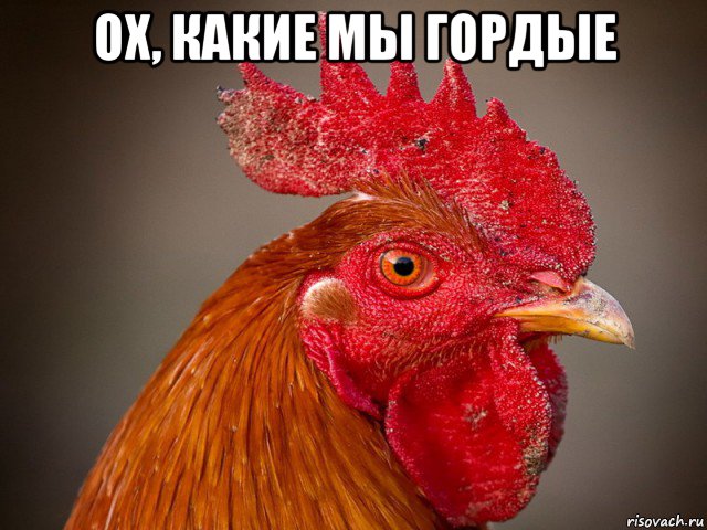 ох, какие мы гордые , Мем Типичный петух-совок