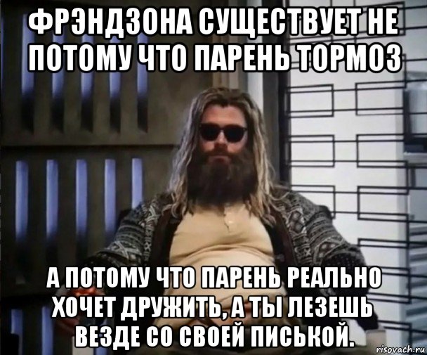 фрэндзона существует не потому что парень тормоз а потому что парень реально хочет дружить, а ты лезешь везде со своей писькой., Мем Толстый Тор