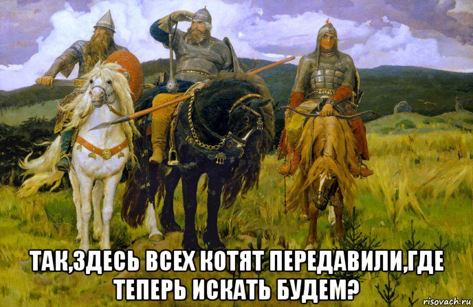  так,здесь всех котят передавили,где теперь искать будем?