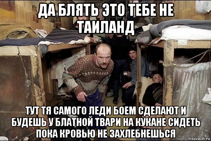 да блять это тебе не таиланд тут тя самого леди боем сделают и будешь у блатной твари на кукане сидеть пока кровью не захлебнешься, Мем Тюрьма