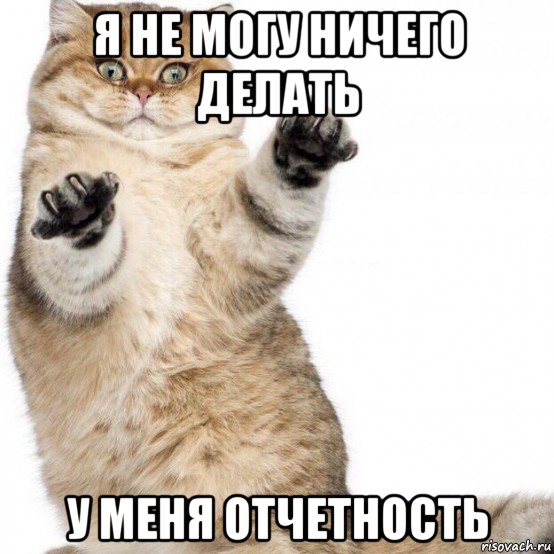 я не могу ничего делать у меня отчетность