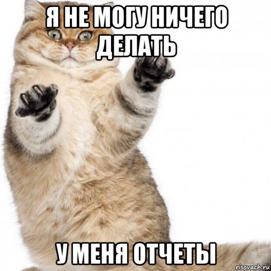 я не могу ничего делать у меня отчеты