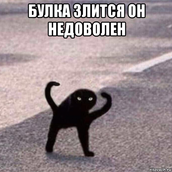 булка злится он недоволен 