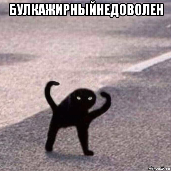 булкажирныйнедоволен 